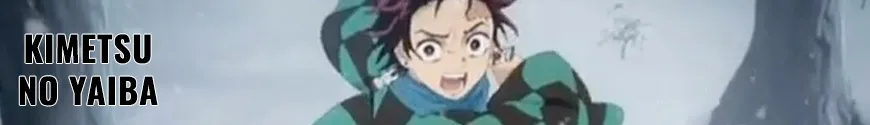 Demon Slayer - Kimetsu no Yaiba