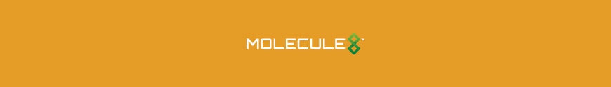 Molecule8