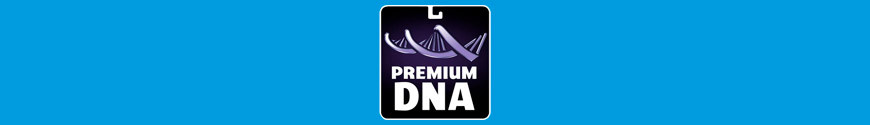 Premium DNA Toys