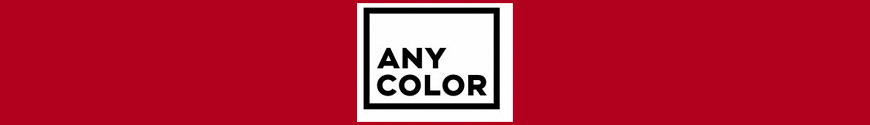 Anycolor Inc.